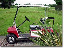 Buggies