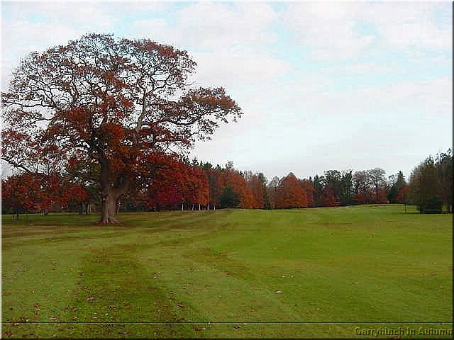 image 12th-jpg
