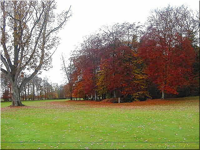 image 14th2-jpg