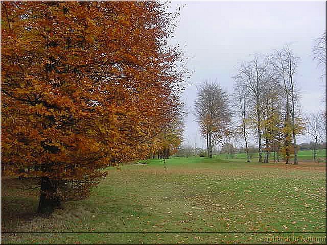image 15thgreen-jpg