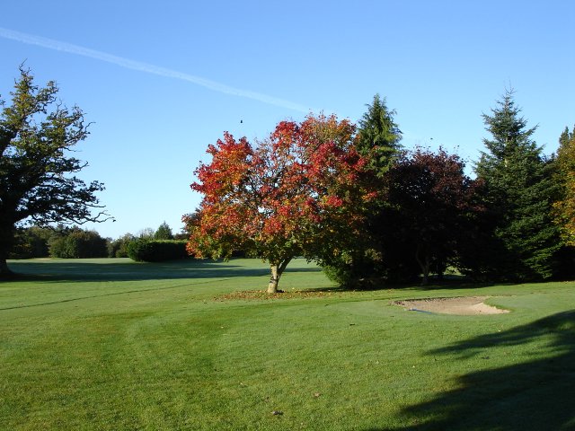 image dsc00157-jpg