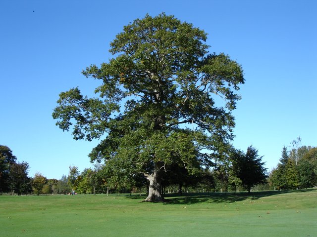 image dsc00166-jpg