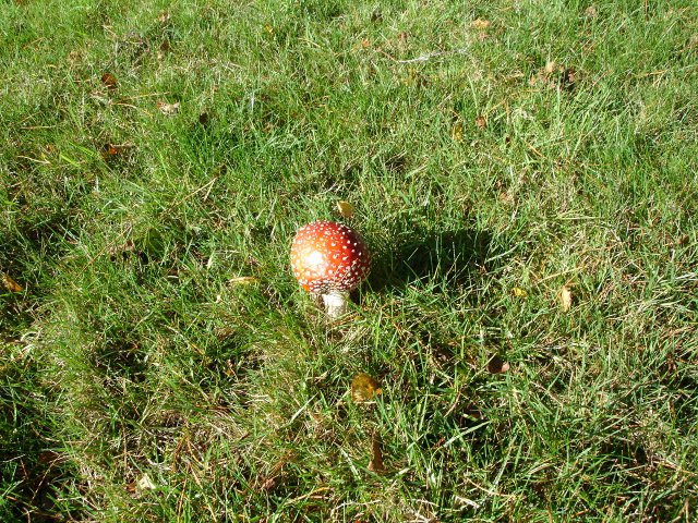image dsc00173-jpg