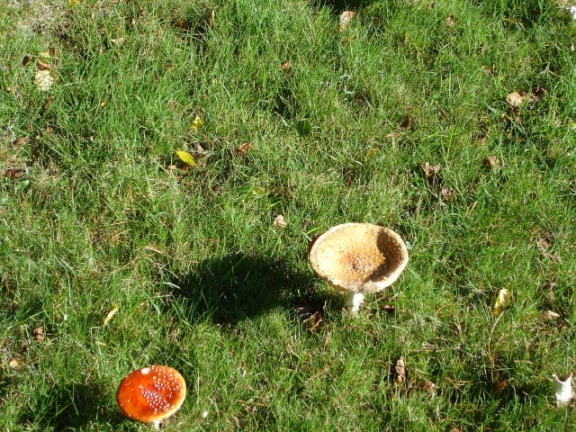 image dsc00174-jpg