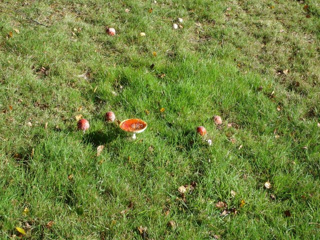 image dsc00175-jpg