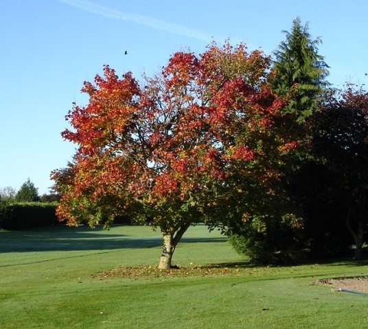 image oct05-jpg