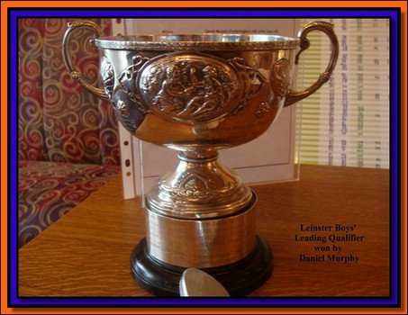 image leinster-boys-leading-qualifier-jpg