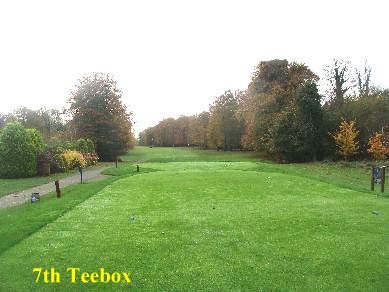 image 7teebox-jpg