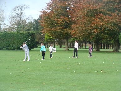 image dsc02940-jpg