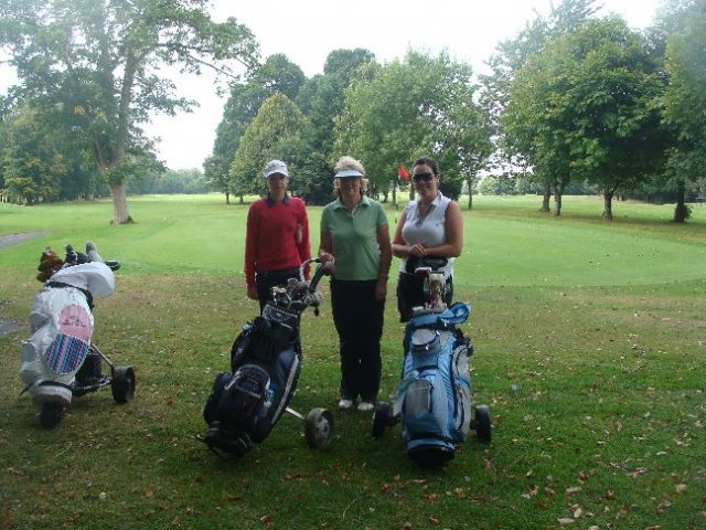 image dsc03855-jpg