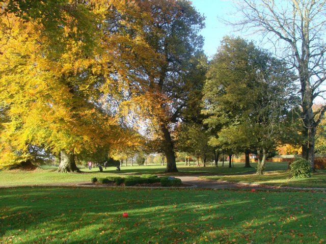 image dsc07567-jpg