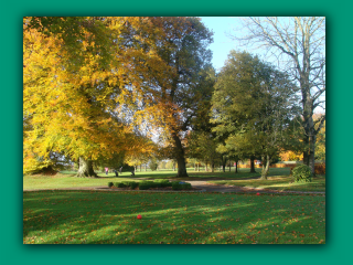 image dsc07567_prv-png