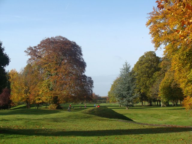 image dsc07569-jpg