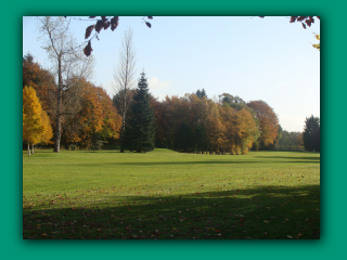 image dsc07571_prv-png