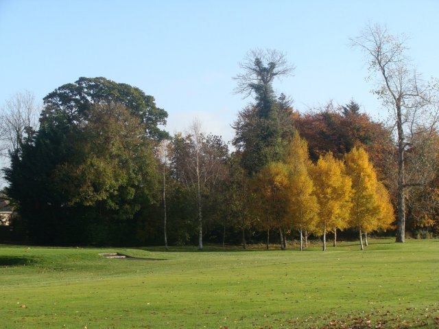 image dsc07572-jpg
