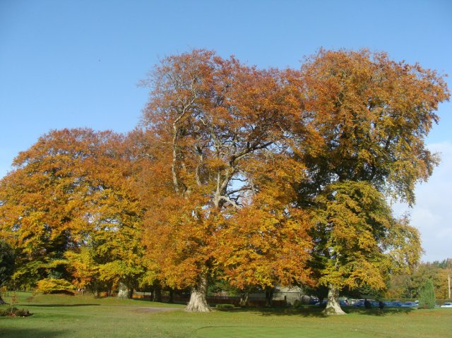 image dsc07574-jpg