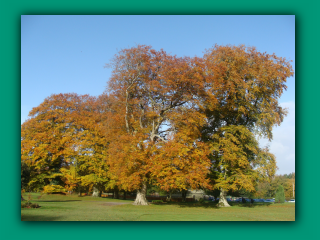 image dsc07574_prv-png