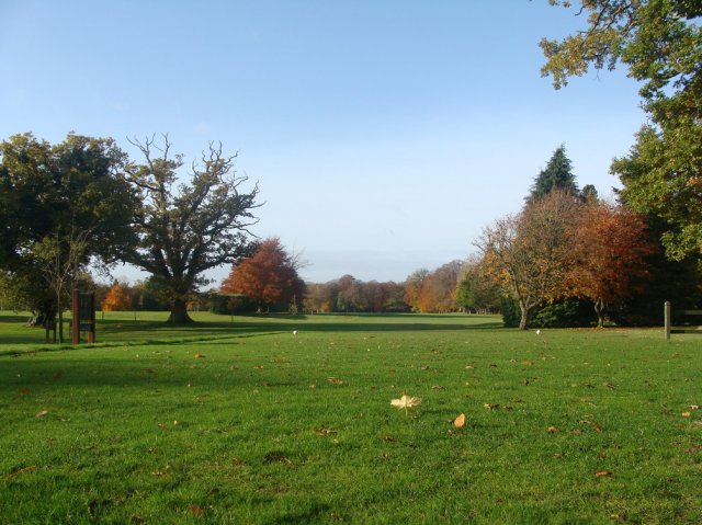 image dsc07577-jpg