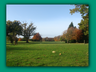 image dsc07577_prv-png