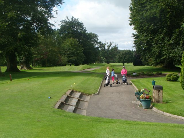 image dsc05713-jpg