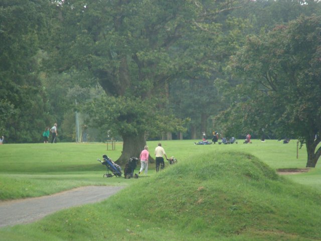 image dsc06044-jpg