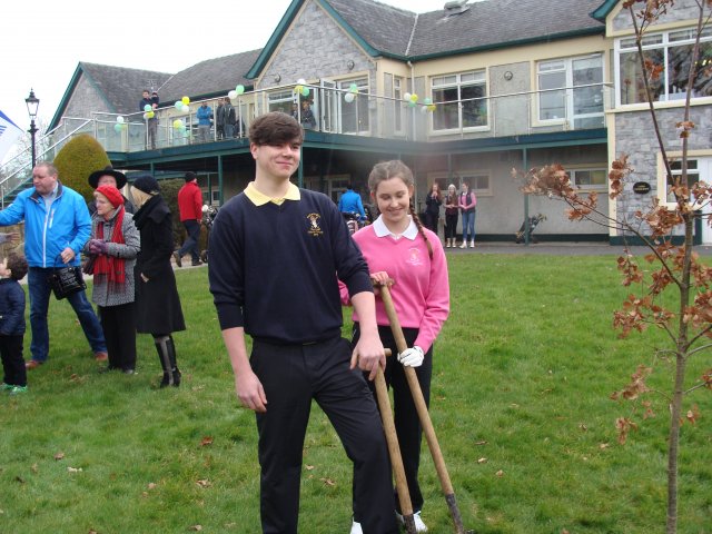 image dsc00750-jpg