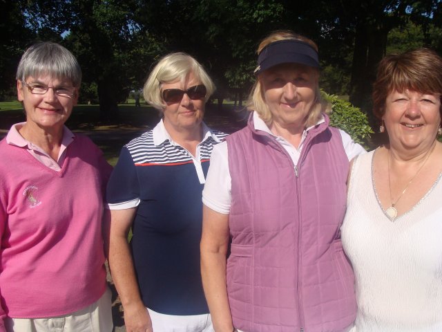 image dsc01137-jpg