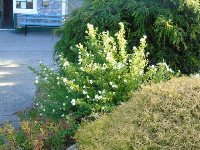 image dsc00884-jpg