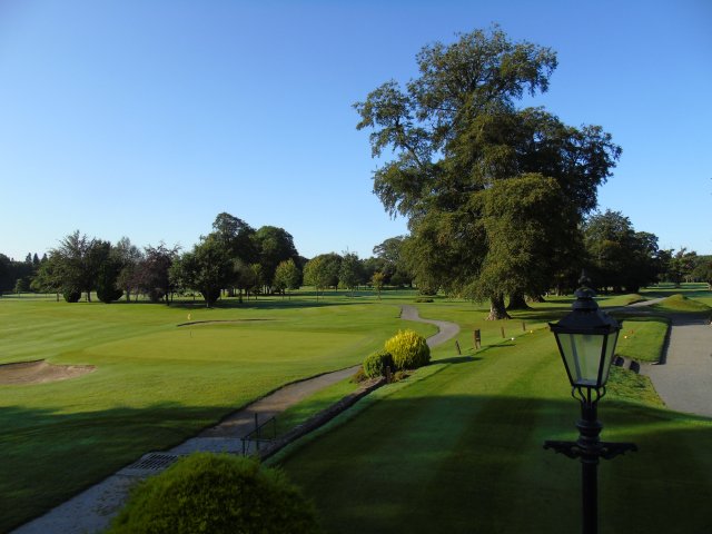 image dsc00886-jpg