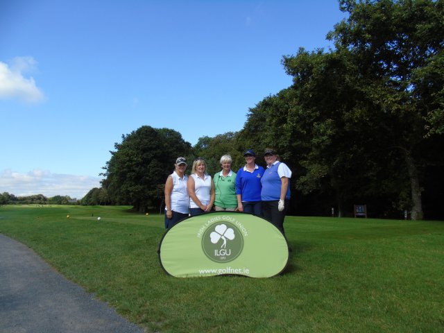 image dsc00907-jpg