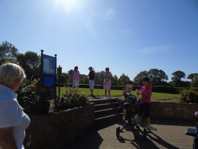 image dsc01154-jpg