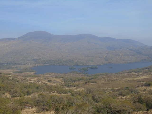 image dsc00580-jpg