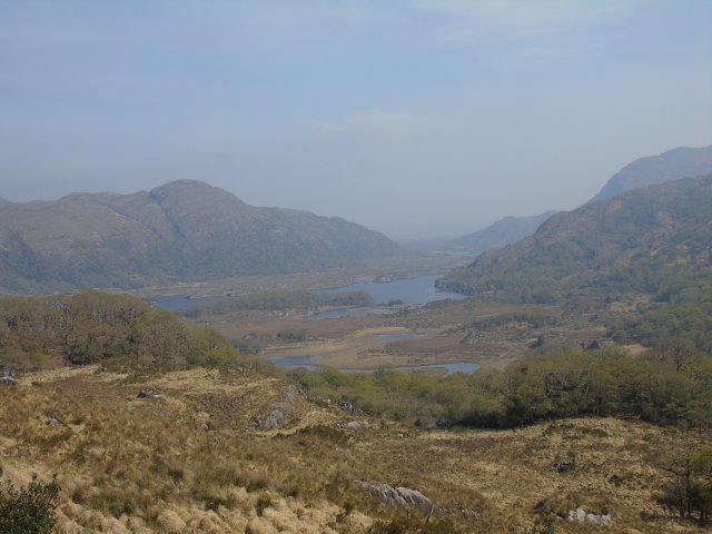 image dsc00581-jpg