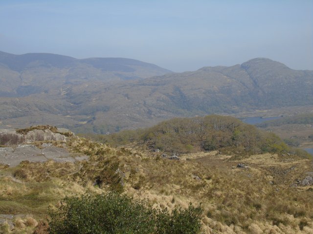 image dsc00582-jpg