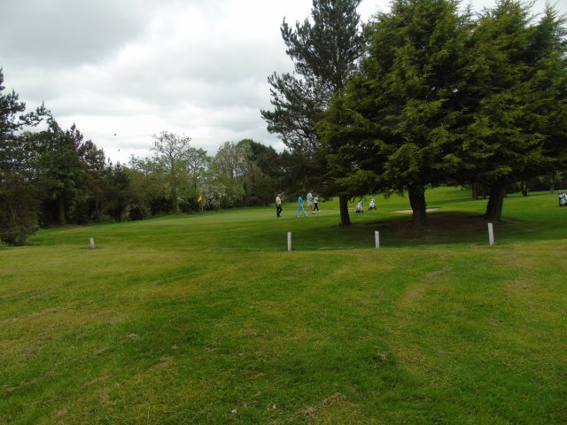 image dsc00601-jpg
