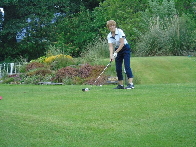 image dsc00608-jpg