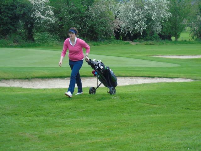 image dsc00611-jpg