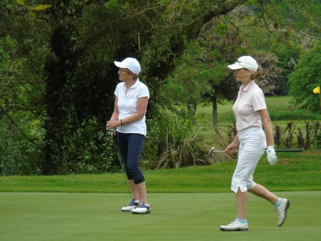 image dsc00613-jpg