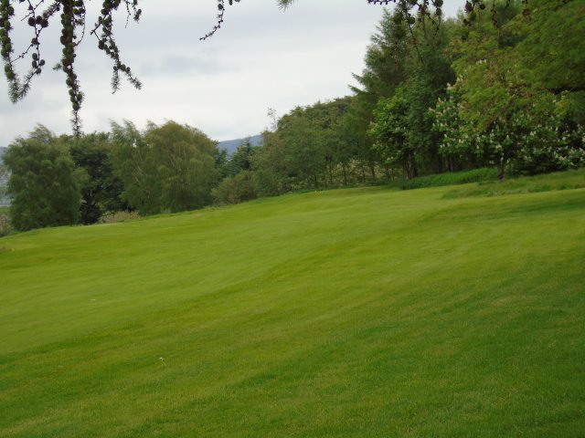 image dsc00619-jpg