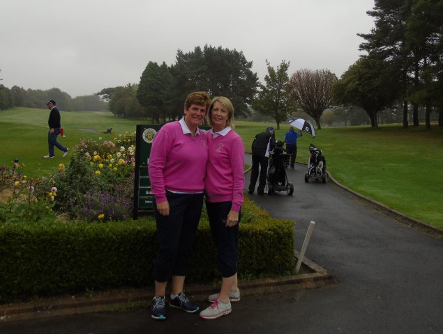 image dsc01091-jpg
