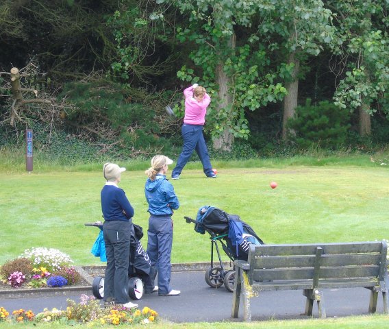 image dsc01105-jpg