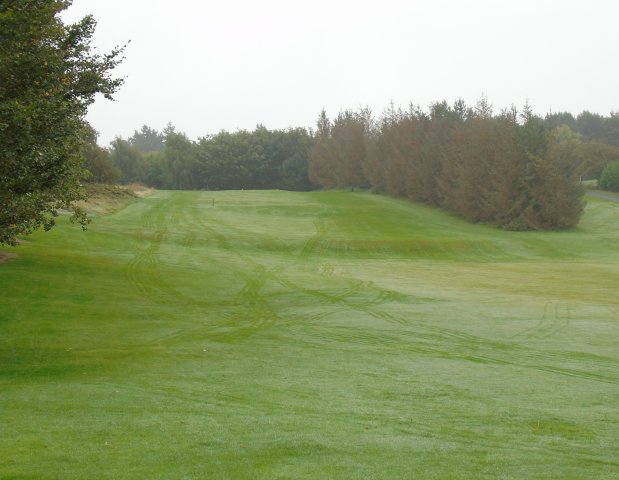 image dsc01108-jpg