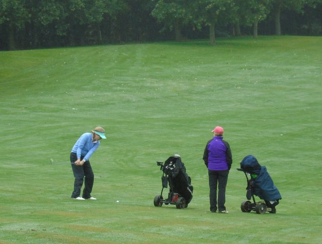 image dsc01110-jpg