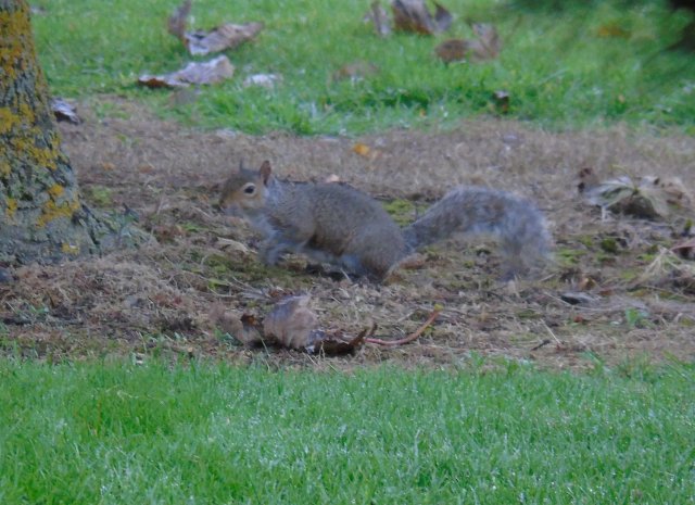 image dsc01111-jpg