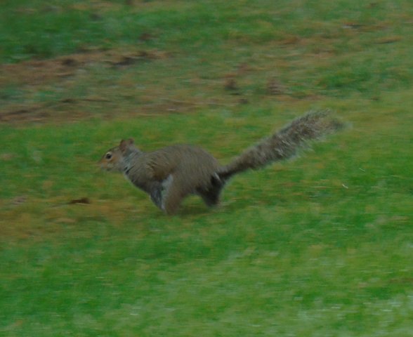 image dsc01114-jpg