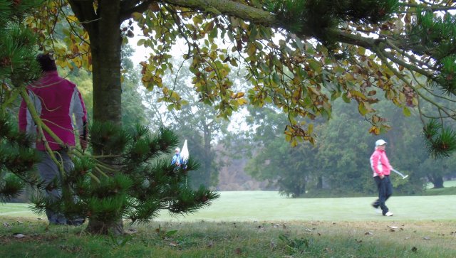 image dsc01118-jpg