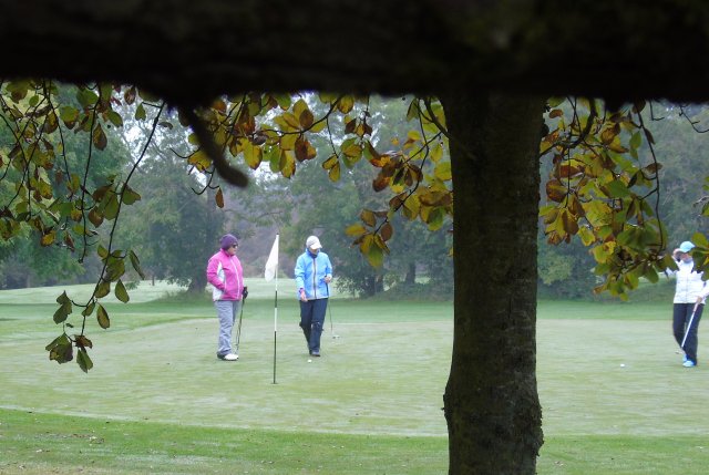 image dsc01120-jpg