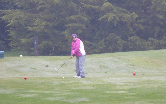 image dsc01125-jpg