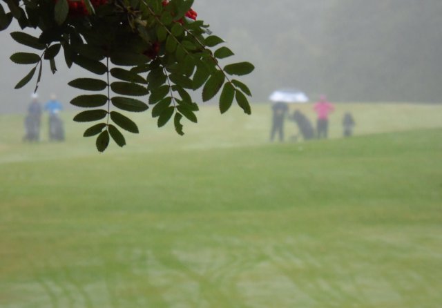 image dsc01126-jpg