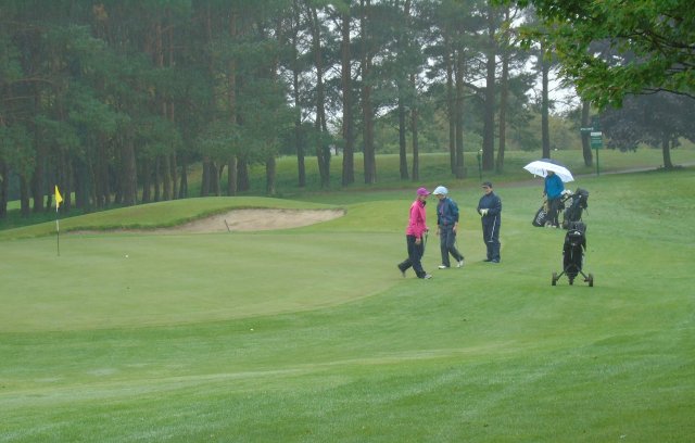 image dsc01131-jpg